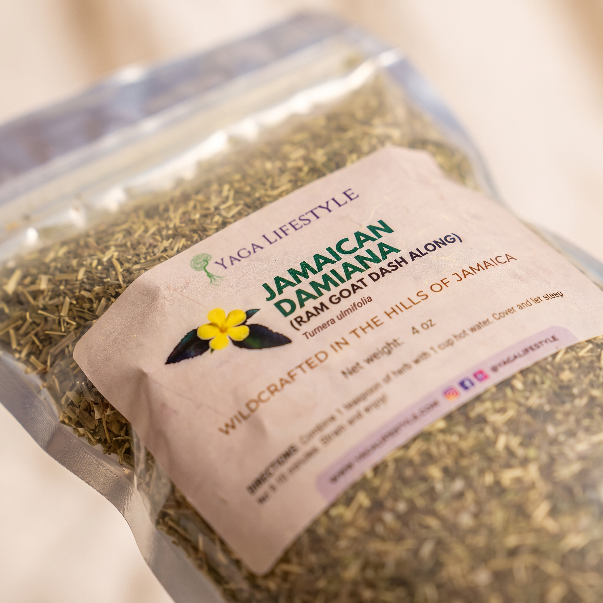 Jamaican Damiana | Ram Goat Dash Along
