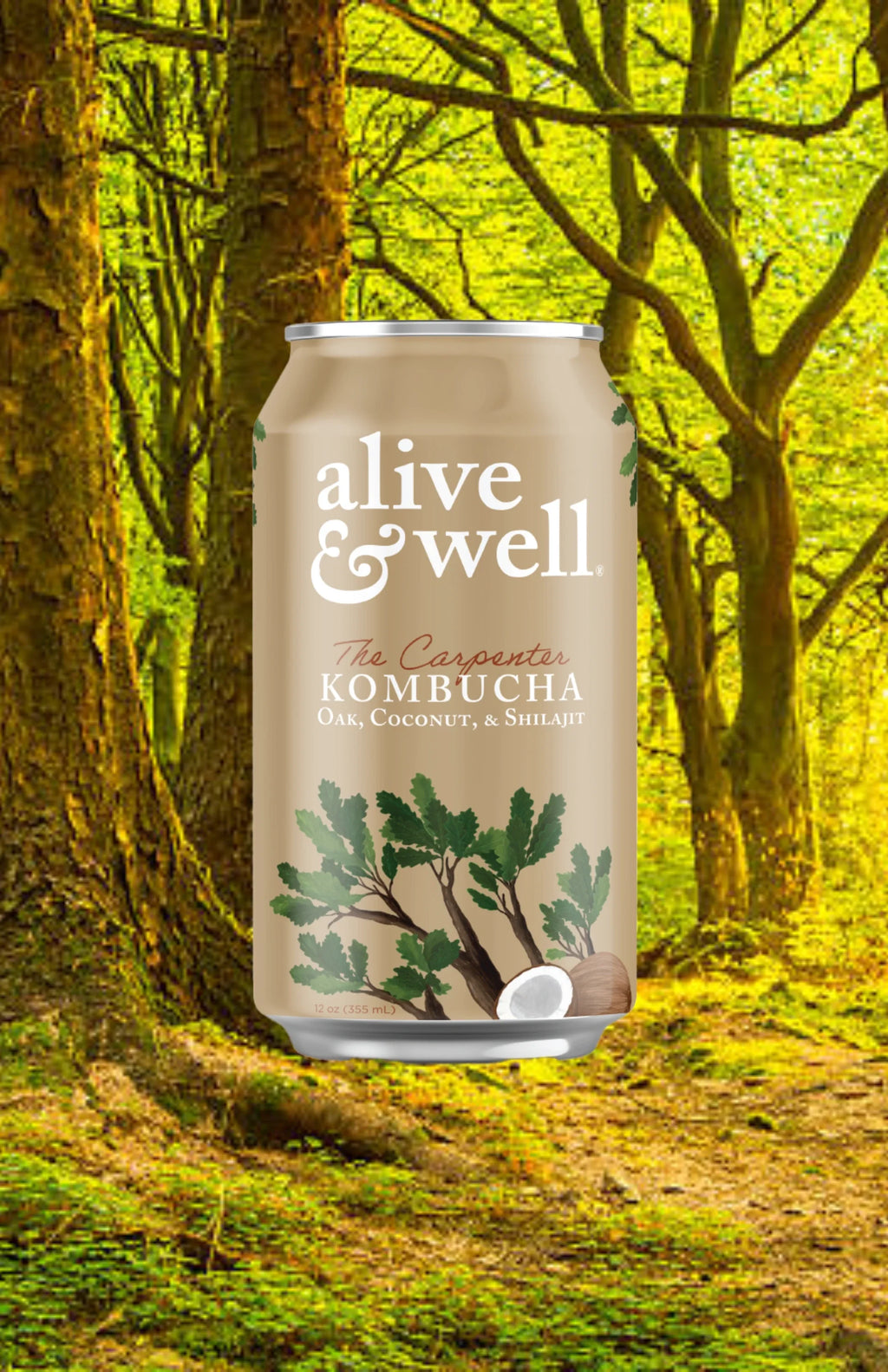 Oak & Coconut Kombucha Organic - 6pk
