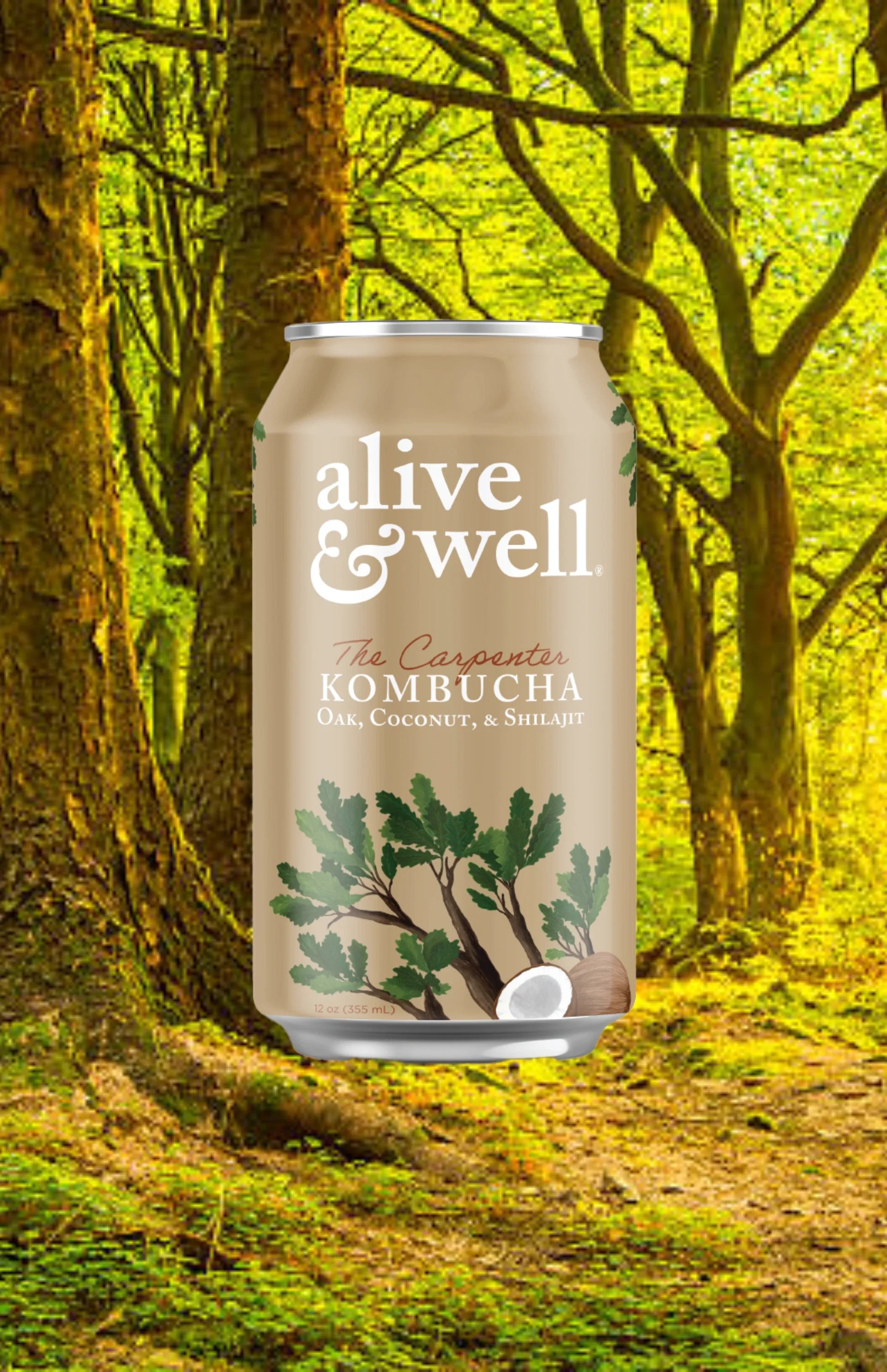 Oak & Coconut Kombucha Organic - 6pk