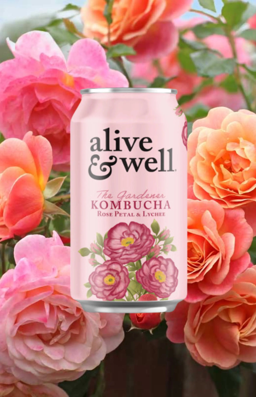 Rose Petal & Lychee Kombucha Organic - 6pk