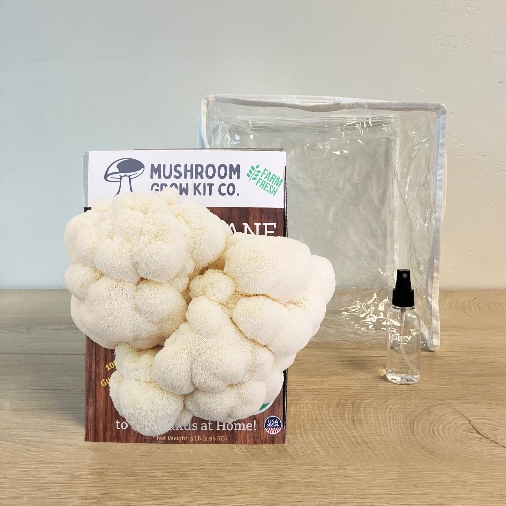 Lion's Mane Mushroom Growing Kit - 5 LBS Spray and Grow