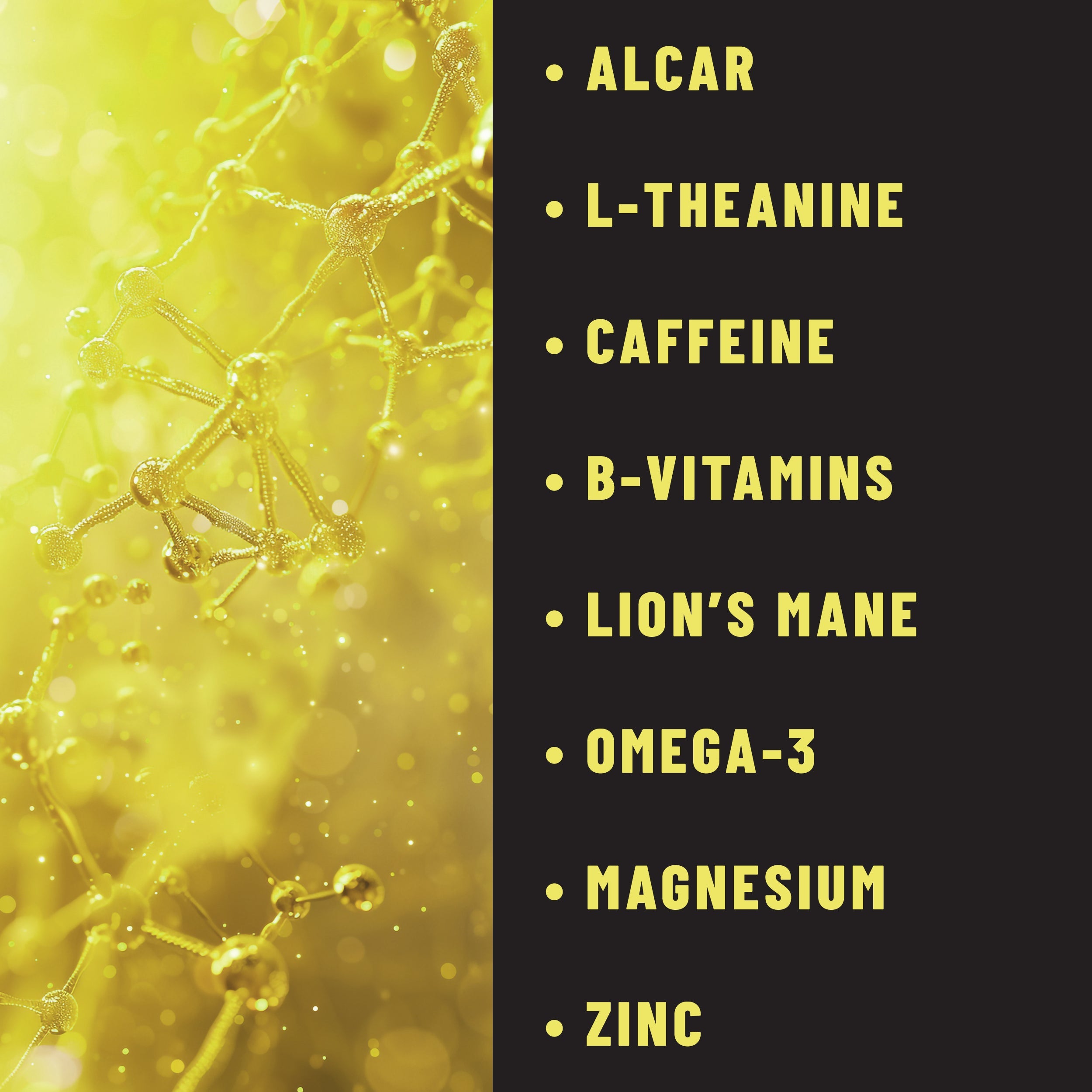 Focus Patches Mental Clarity & Energy with ALCAR, Caffeine, L-Theanine, B-Vitamins, Lion’s Mane, 36 patches